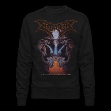 Felpa sweatshirt Dismember like an ever flowing stream | premium quality at the best price | vrz shop