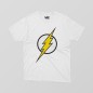 logo flash logo flash